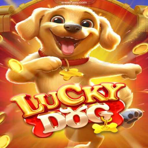 Exploring LuckyDog: A Dive into the Exciting World of Brazilian Online Gaming